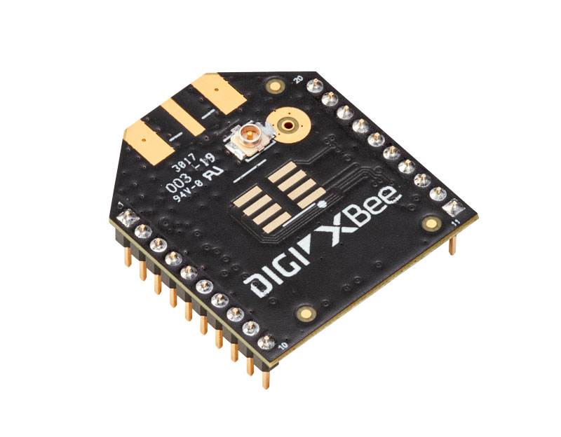 SKU : XB-8XR-DMUT-101