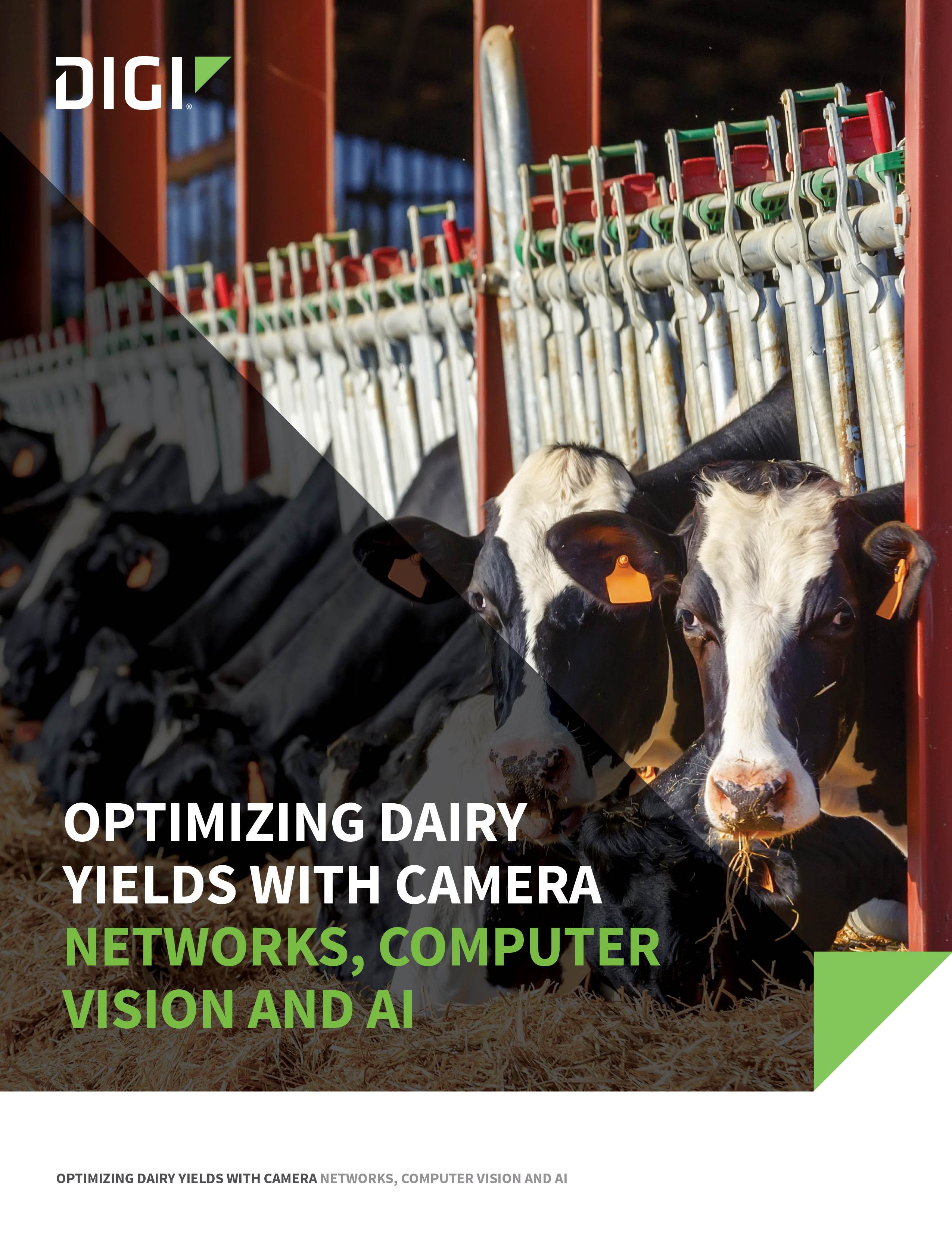 Optimizing Dairy Yields with Camera Networks, Computer Vision and AI