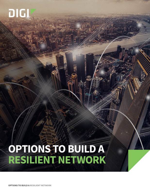 Options to Build a Resilient Network cover page